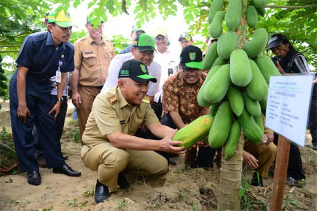 Gubri Tinjau Pusat Agribisnis Universitas Islam Riau