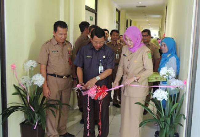 Hari Jadi RS Petala Bumi