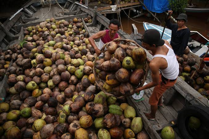 Harga Komuditas Perkebunan di Riau Alami Kenaikan pada Pekan Ini