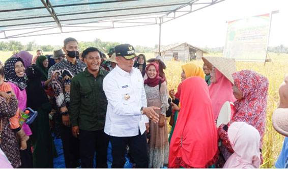 Hadiri Panen Raya di Desa Penyagun, Bupati Adil: Harus Ada Panen Raya Dua Kali Dalam Setahun