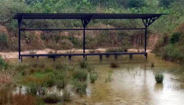Tak Terawat, Bangunan Lapangan Tembak Dispora Pekanbaru Jadi Tempat Bermain Babi Hutan