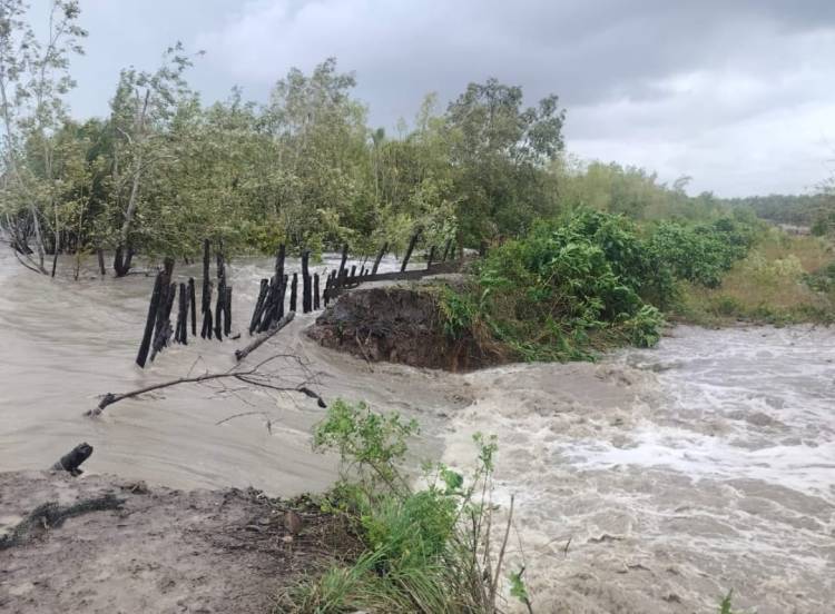Gelombang Pasang Tinggi di Kuala Selat, 7 Rumah Warga Dilaporkan Rusak Berat, Warga Berharap Perhatian Pemerintah