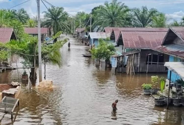 Banjir Riau Meluas, Pemprov Minta Bantuan Pusat