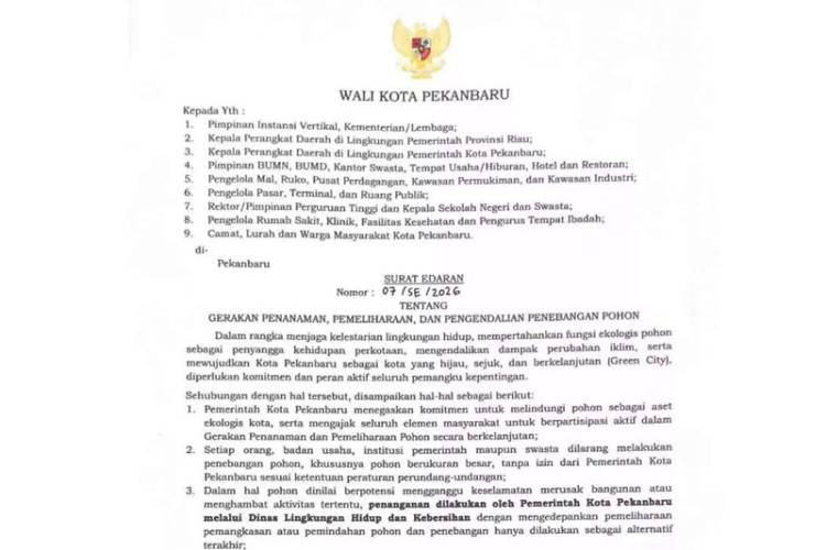 Wako Pekanbaru Keluarkan Edaran Larangan Penebangan Pohon