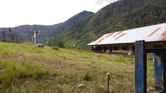 KKB Papua Kembali Berulah, Tembaki Bandara dan Warga di Distrik Ilaga