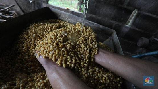 China Borong 100 Juta Ton, Harga Kedelai Bakal Terbang Lagi?
