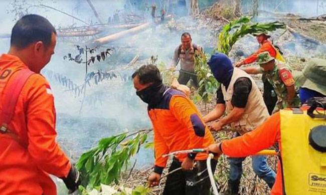 Pekanbaru Terluas, 5 Daerah yang Ditemukan Karhutla Diimbau Tetapkan Status Siaga