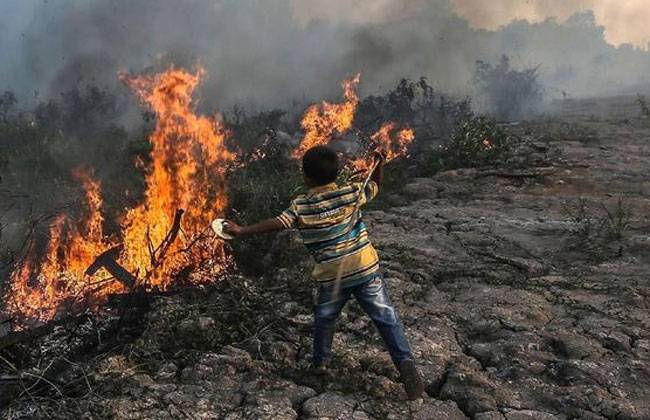 Hampir Lima Hektare Karhutla di Pekanbaru Dipadamkan