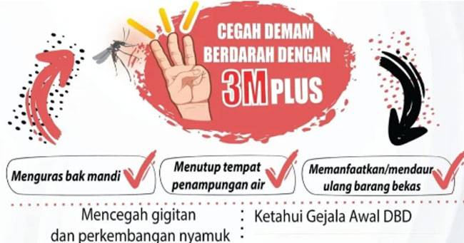Februari 2023, Diskes Pekanbaru Catat 9 Kasus DBD