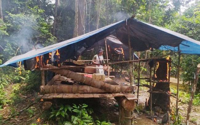 Pondok Liar dan Tanaman Sawit di Rimbang Baling Kuansing Dimusnahkan
