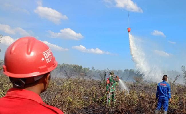 Tim Gabungan Riau Berjibaku Padamkan Karhutla Rohil dan Dumai