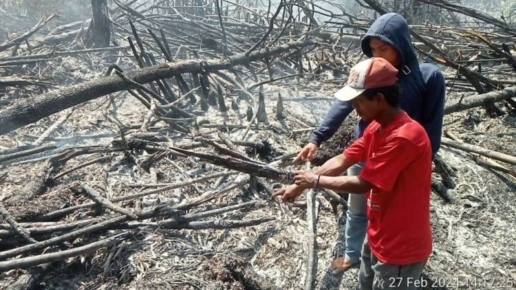 Bakar Lahan, Petani di Rohil Ditangkap