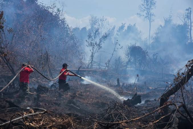 Januari-Februari 2024, Sudah 19,10 Ha Lahan di Riau Terbakar