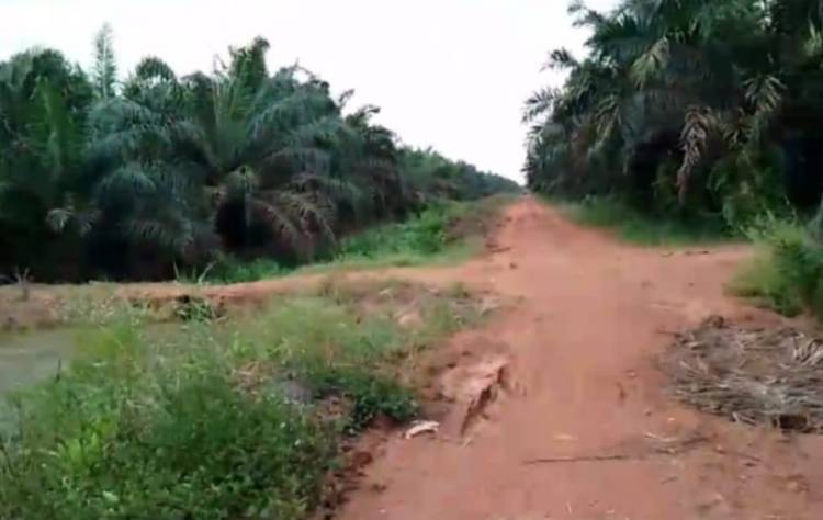 Warga Lahang Hulu Protes Ketidakadilan PT. SAL, Pemda Diminta Tinjau Ulang