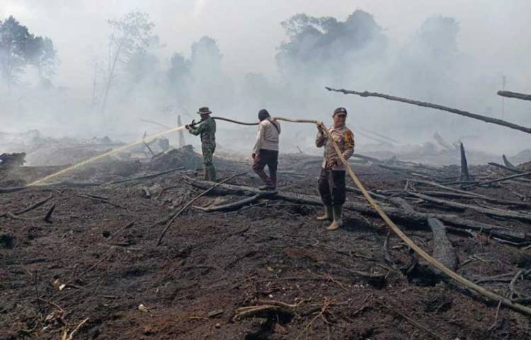 Waspada Karhutla, Bengkalis Segera Tetapkan Status Siaga Darurat