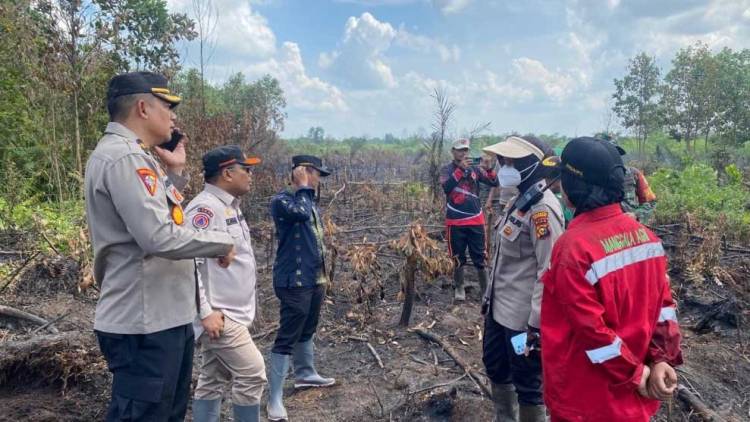 Sebulan Terakhir, Lahan Terbakar di Kecamatan Payung Sekaki Terbanyak di Pekanbaru