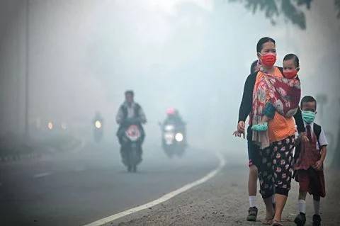 Siaga Darurat Karhutla, Diskes Riau Segera Surati Diskes Kabupaten dan Kota, Siagakan Tim EMT