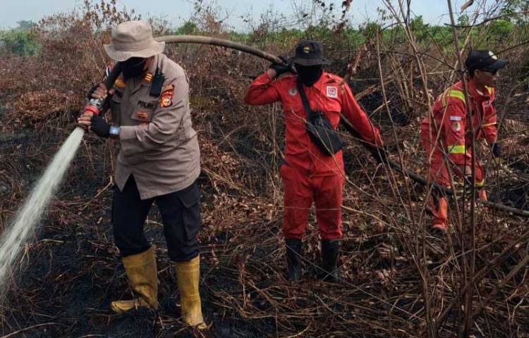 Tim Gabungan Berjibaku Padamkan Karhutla 10 Hektare di Rupat