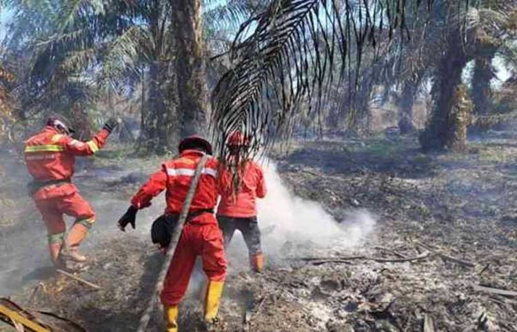 Tim Gabungan di Lokasi Karhutla Masih Berjibaku, Daerah Didorong Tetapkan Status Siaga darurat Karhutla