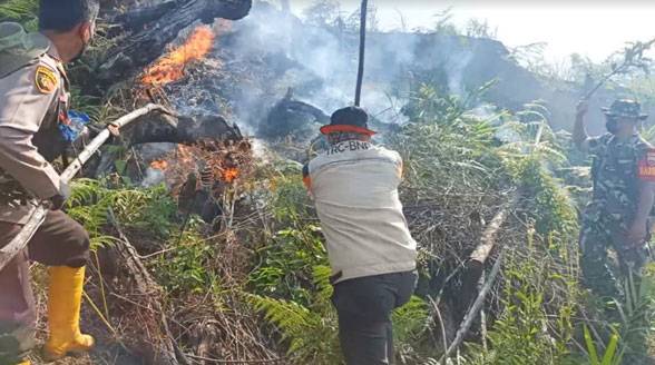 Karhutla di Kabupaten Rokan Hulu Semakin Meluas Jadi 70 Hektar