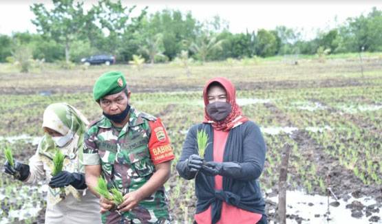 Ketua Fraksi PDIP DPRD Bengkalis Hadiri syukuran Kenduri Ladang dan Tanam Padi Perdana IP 200 Desa Api-Api