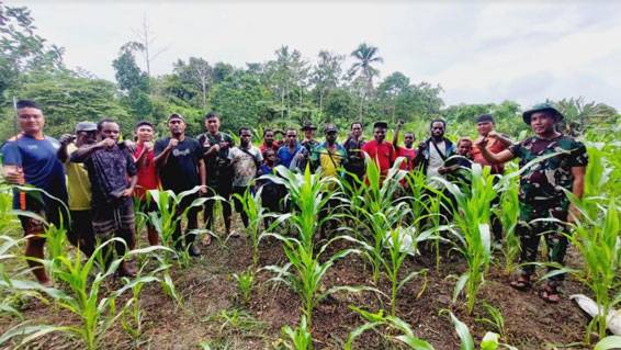 Tanaman Masyarakat Tumbuh Subur, Bukti Keberhasilan Pelatihan Pertanian Satgas Pamtas Yonif 126/KC