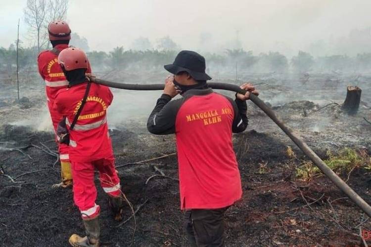 BPBD Riau: Petugas Gabungan Berjibaku Tangani Karhutla
