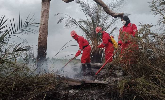 BPBD Riau: Pencegahan dan Penanganan Karhutla Semakin Baik