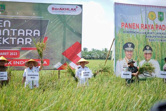 Bersama Gubernur Syamsuar, Bupati Rohil Panen Raya Padi Nusantara Satu Juta Hektar di Rimba Melintang