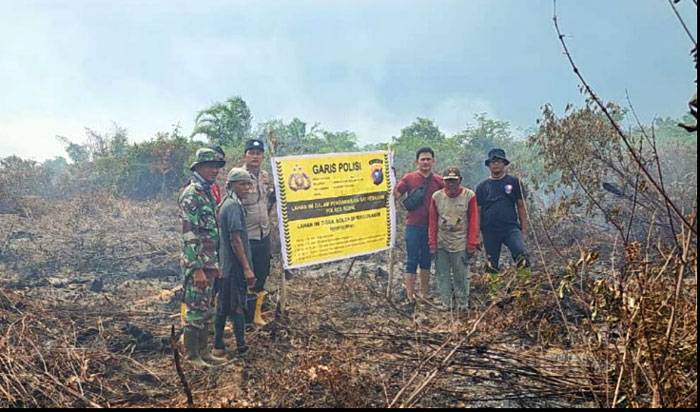 Pelaku Pembakar Lahan di Rohil Ditangkap