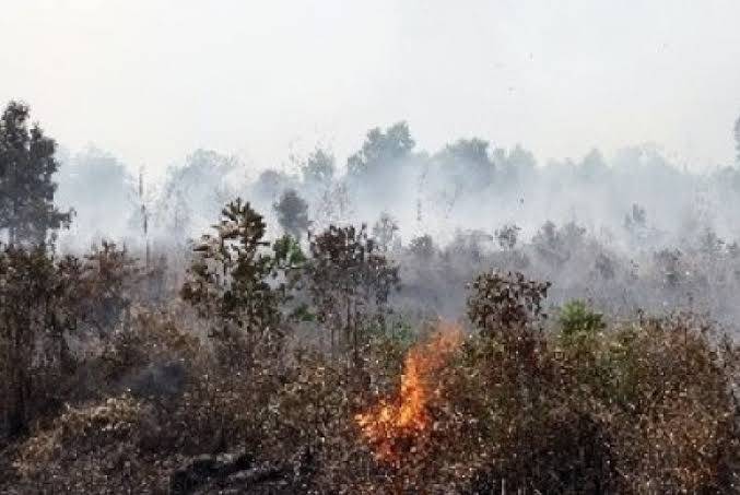 Masyarakat Meranti Diingatkan tak Bakar Lahan