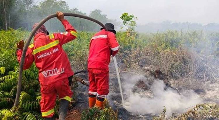 Manggala Agni Padamkan Ribuan Hektare Karhutla di Riau