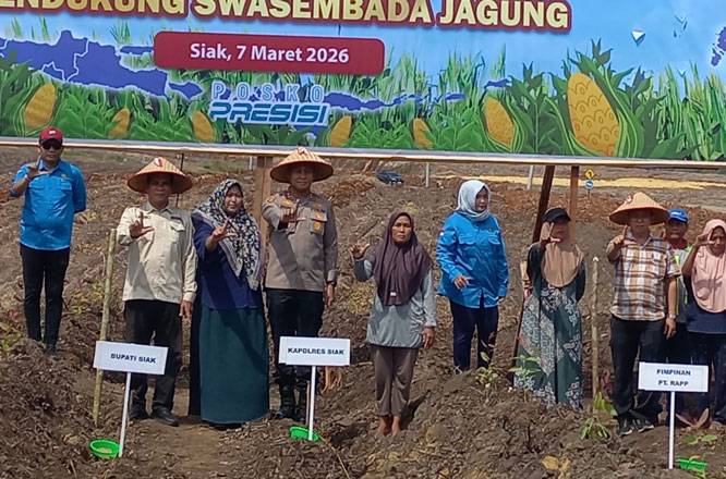 Dukung Swasembada Pangan Nasional, Polres Siak dan PT RAPP Kolaborasi Tanam Jagung