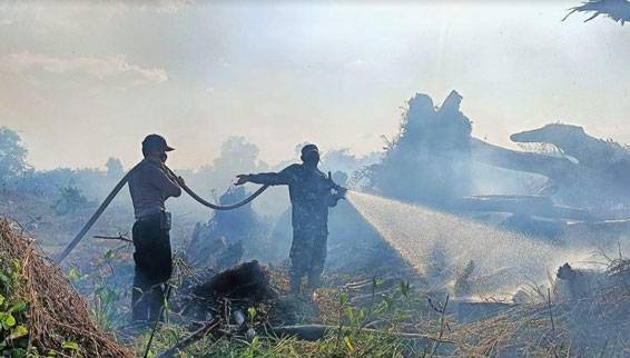 Petugas Gabungan Berjibaku Padamkan Karhutla di Bonai Darussalam
