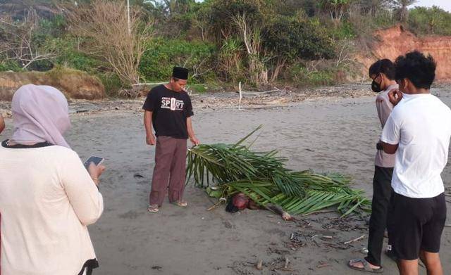 Geger, Mayat Pria Bertato Joker Penuh Luka dan Membusuk di Tepi Pantai Bengkulu