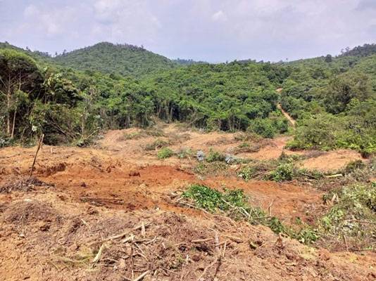 Kades Sungai Sarik Terbitkan Surat Tanah di Kawasan Hutan Produksi Terbatas