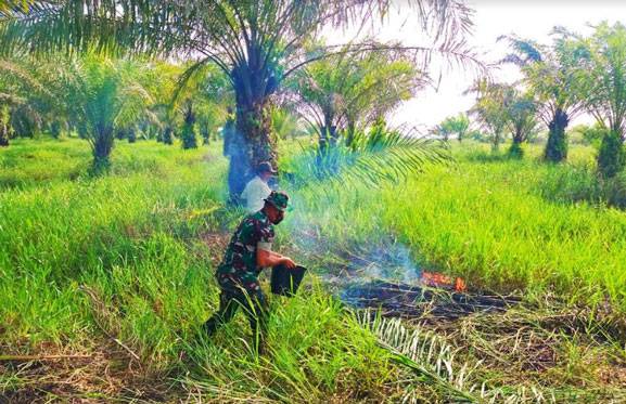 Petugas Gabungan Padamkan Karhutla di Kabupaten Rokan Hulu Riau