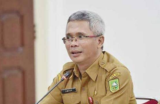 Kadis PUPR Riau Klarifikasi Soal Jalan Rusak Terpanjang di Indonesia