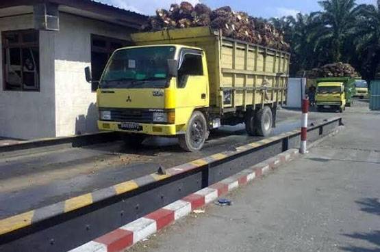 Berdiri di Lahan Milik Negara, 3 Peron Sawit Ilegal di Minas Barat Diduga Milik Anggota DPRD Siak