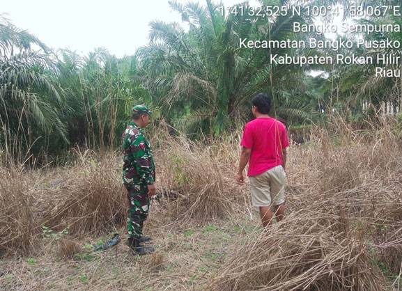 Anggota Koramil 0321-05/RM kembali Patroli Karhutla di Bangko Sempurna