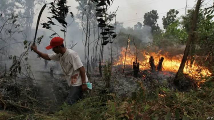 Antisipasi Karhutla di Riau, Ini Strateginya