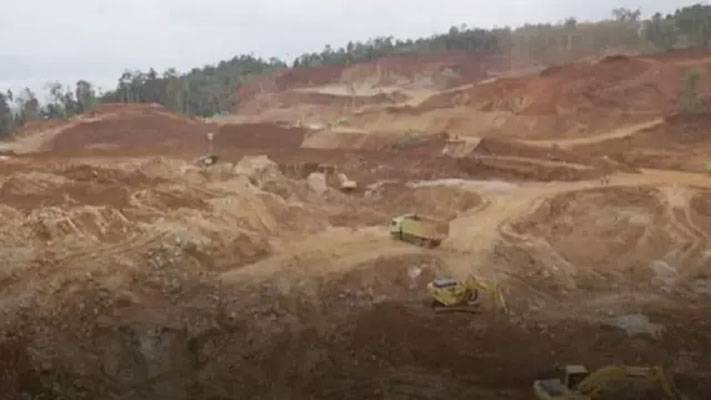 CERI: Pernyataan Kabiro Hukum KLHK Soal IPPKH PT. GKP Menyesatkan, Patut Diduga Persekongkolan Jahat