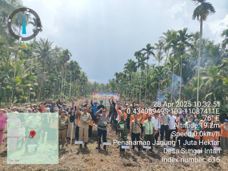 Program Ketahanan Pangan, 9 KWT di Desa Sungai Intan Siapkan Puluhan Hektar Lahan