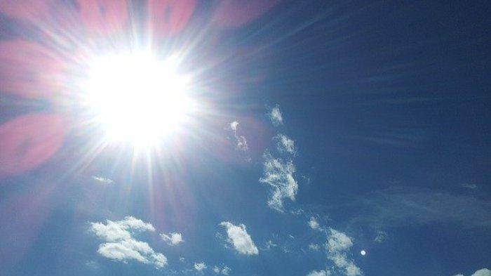 Antisipasi "Super" El Nino, Pemprov Riau Turunkan Tim