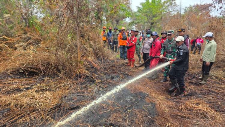 Karhutla di Wilayah Pelalawan Terkendali