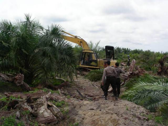 Pemerintah akan Bentuk Pokja Pembatalan Sertifikat di TNTN