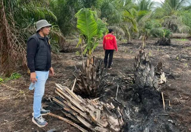 Polisi Amankan Tersangka Kasus Karhutla di Teluk Meranti Pelalawan