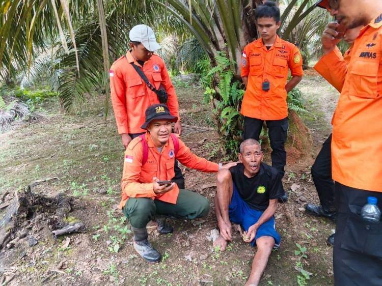 Tersesat 2 Hari di Kebun Sawit, Kakek di Rohul Ditemukan Selamat
