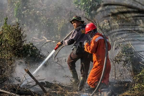 Cegah Kebakaran Hutan dan Lahan, Pemprov Riau Harap Ada TMC Lanjutan