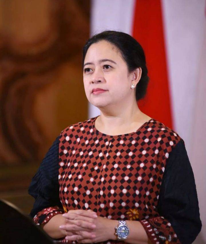 Pengamat Nilai Ketua DPR RI Puan Maharani Pemimpin Berkualitas